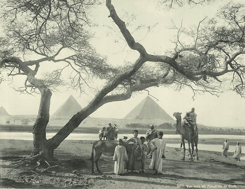 1614 Фотографии из Египта 1870 х годов 