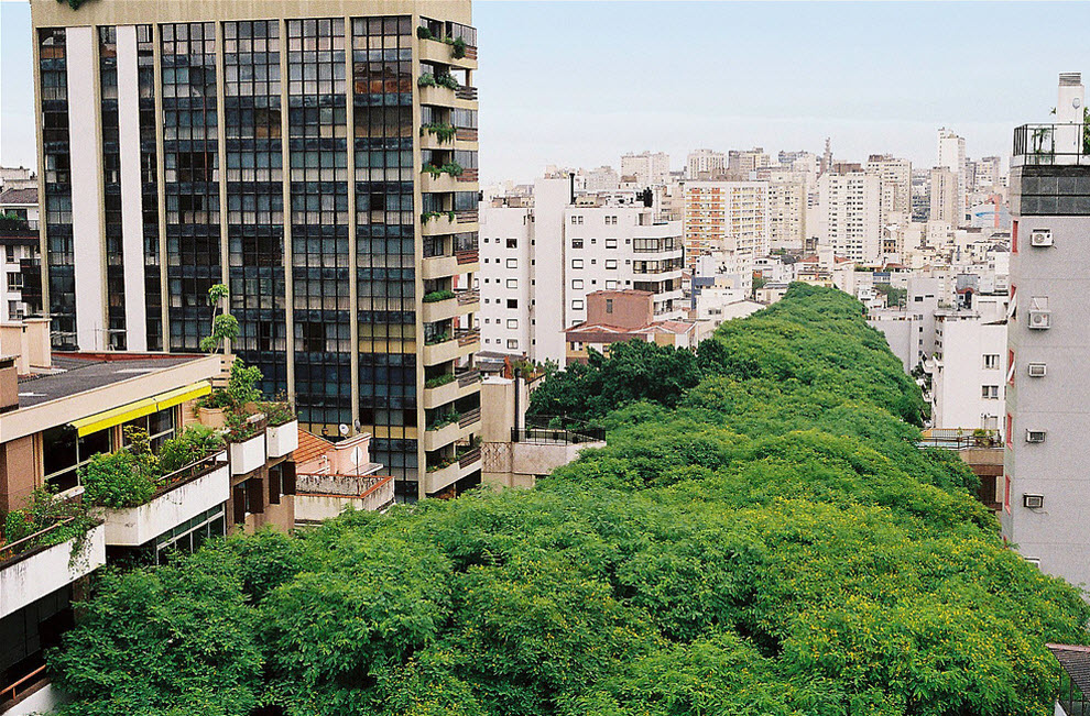 2183 Зеленая улица в Бразилии