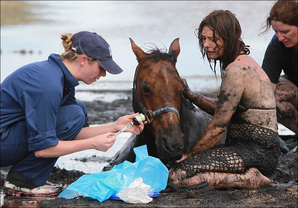 Любовь к лошади. Николь Грэм вместе с лошадью Астро три часа провели в болоте. 
