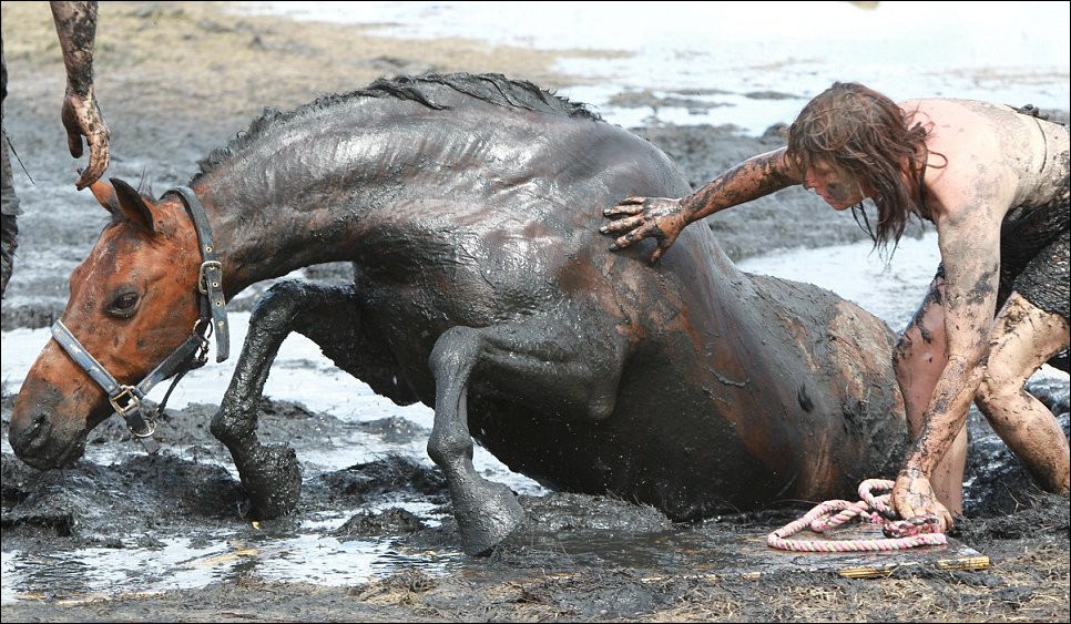 Любовь к лошади. Николь Грэм вместе с лошадью Астро три часа провели в болоте. 