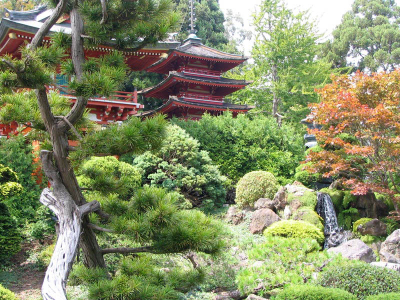 864 20 японских садов со всего света