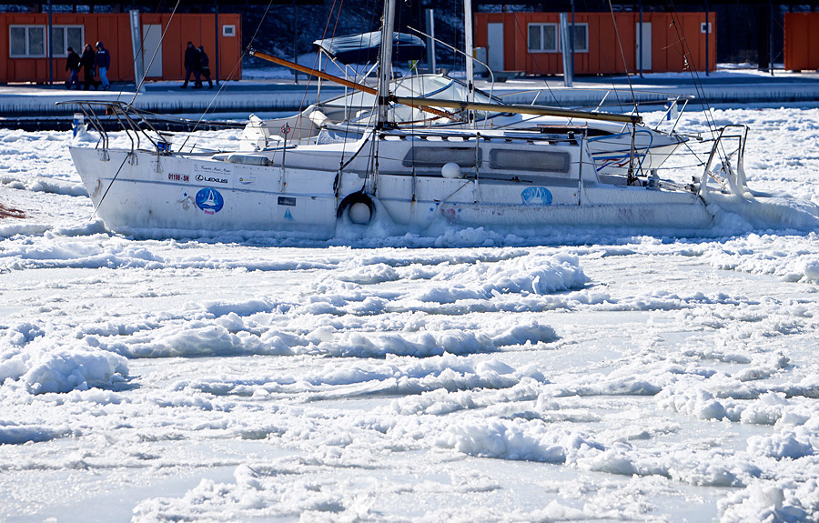 freeze20 Черное море впервые за 30 лет покрылось льдом