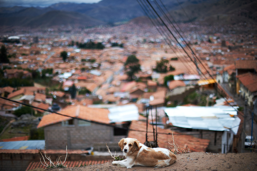 0254 Путешествуя по Перу: из Куско к Мачу Пикчу