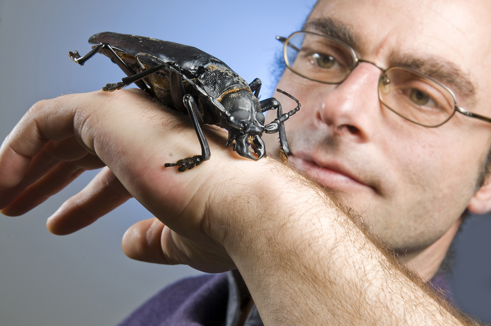 bug06 Самый большой в мире жук
