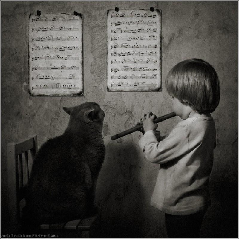 müzik dersleri 800x800 küçük bir kız ve bir kedi Tom