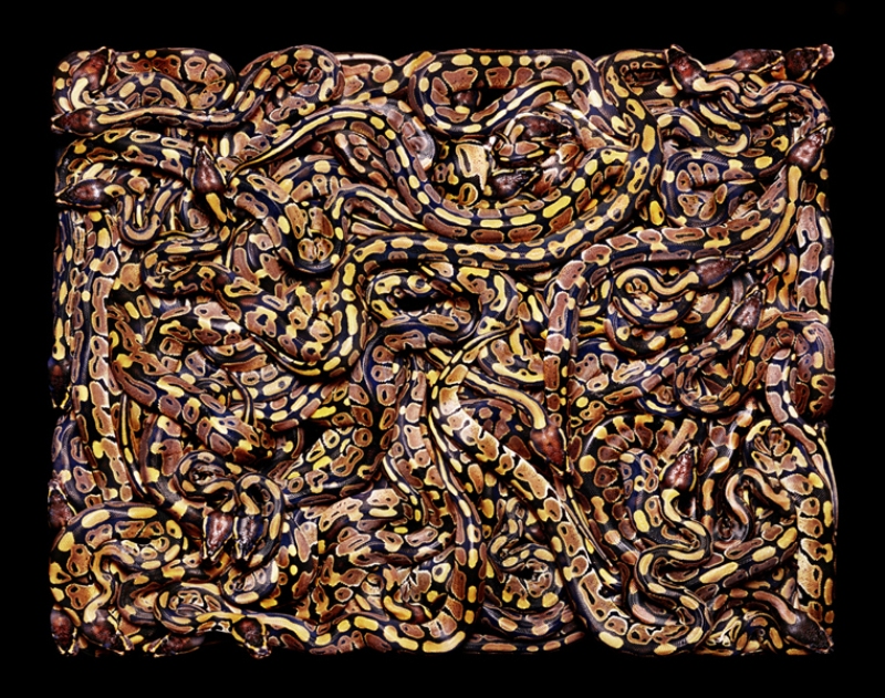 1296 Змеиная коллекция Гвидо Мокафико