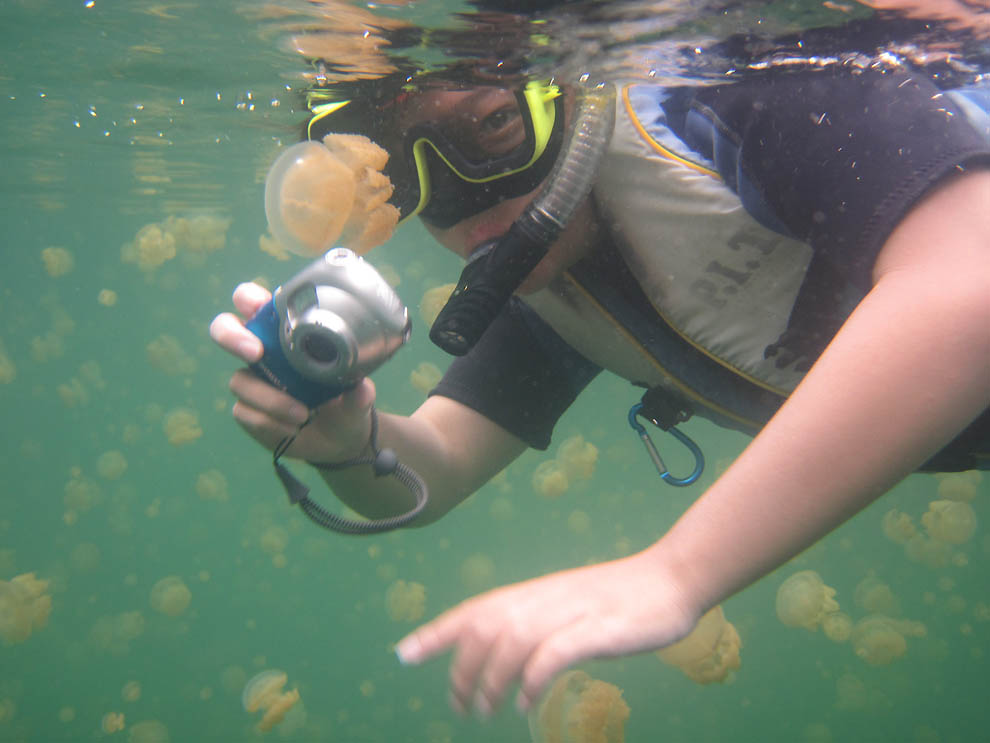 1380 Озеро медуз