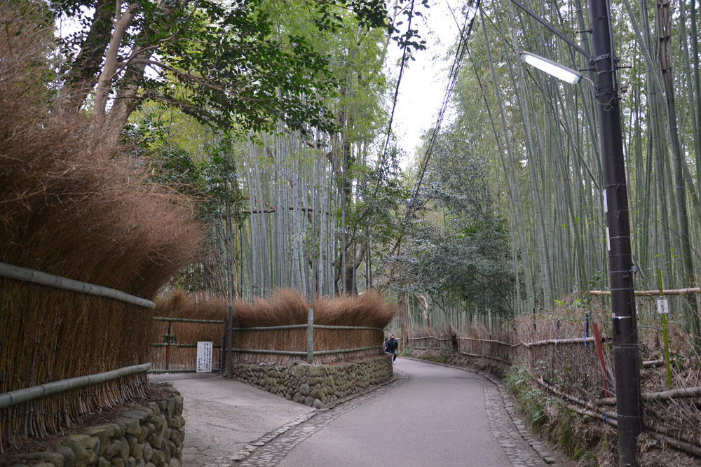 Бамбуковый коридор у подножья горы в Киото 3138