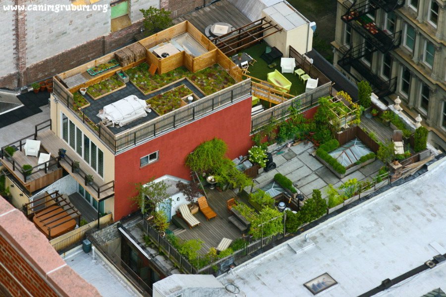 4102 Сады на крышах (Часть 2)