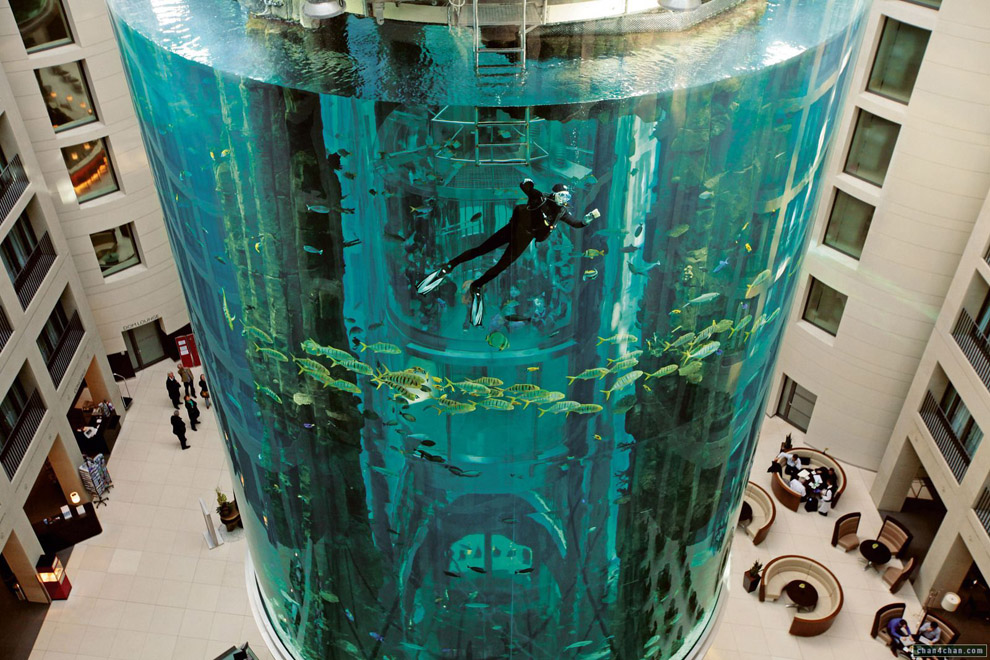 140 Aquadom — огромный аквариум в отеле Radisson Blu