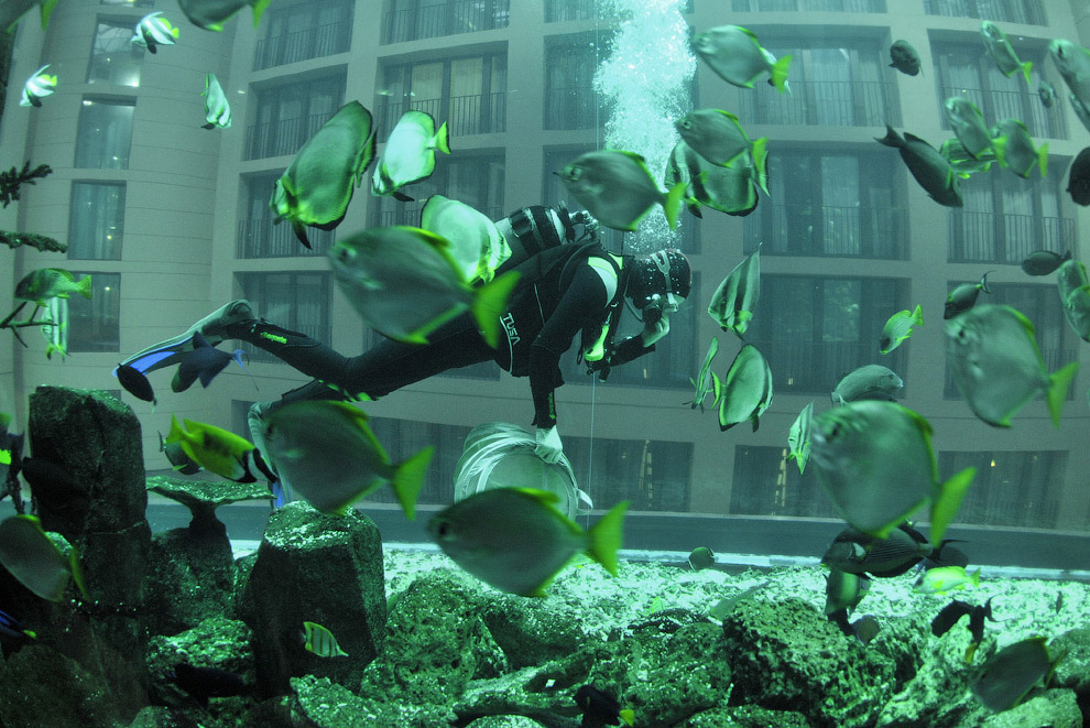 1410 Aquadom — огромный аквариум в отеле Radisson Blu