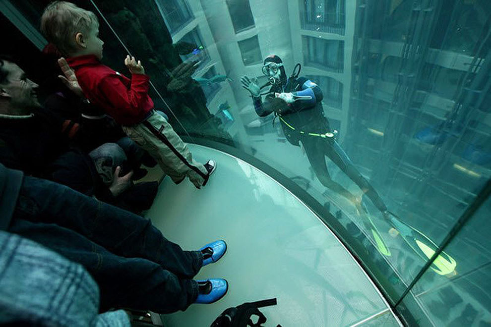 315 Aquadom — огромный аквариум в отеле Radisson Blu