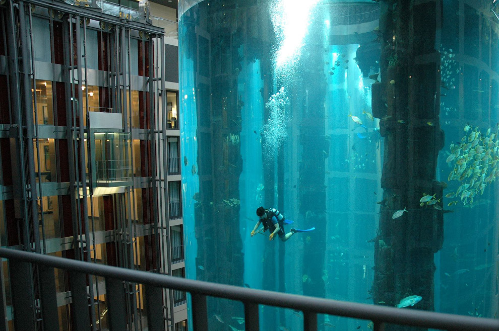410 Aquadom — огромный аквариум в отеле Radisson Blu
