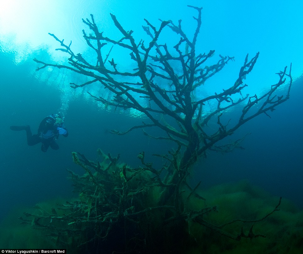 470 Голубое озеро   неизведанный подводный мир