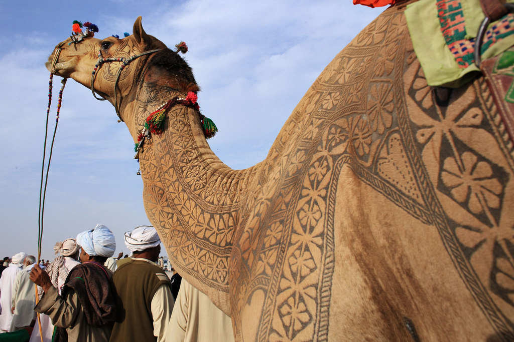 5192 Camel Arta