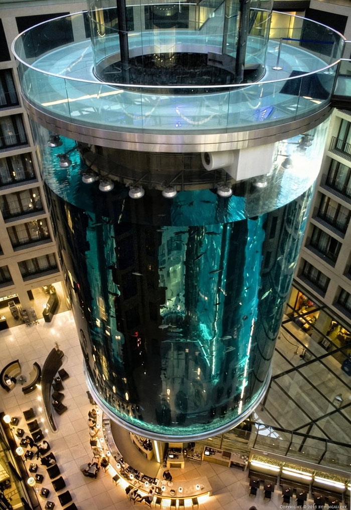 99 Aquadom — огромный аквариум в отеле Radisson Blu