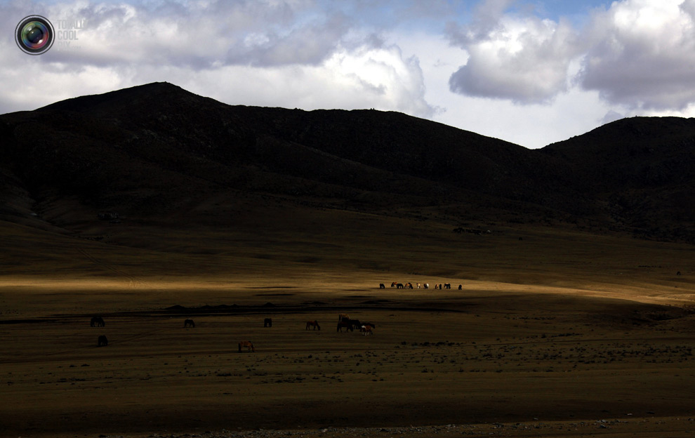 mongolia 001 Шахтеры ниндзя: Добыча золота в Монголии
