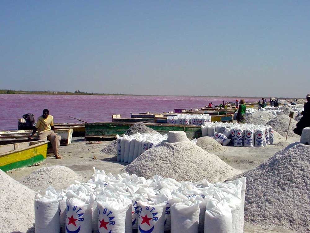 1 pink lac retba Розовое озеро в Сенегале