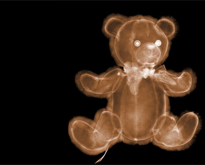 22Плюшевый медвежонок Рентгеновский взгляд на мир Ника Визи