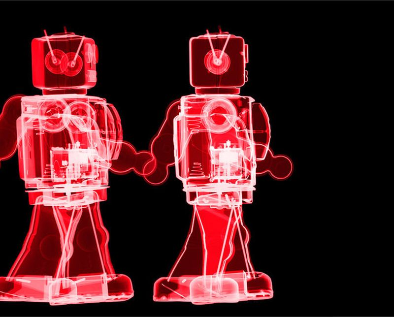 24Роботы Рентгеновский взгляд на мир Ника Визи