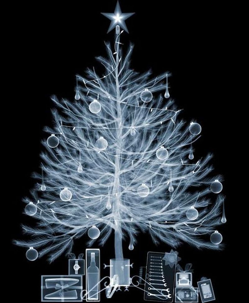 25Рождественская ёлка Рентгеновский взгляд на мир Ника Визи