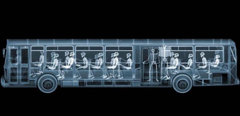 33Автобус Рентгеновский взгляд на мир Ника Визи