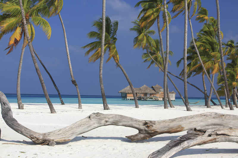 8 Удивительные домики отеля Soneva Gili на Мальдивах