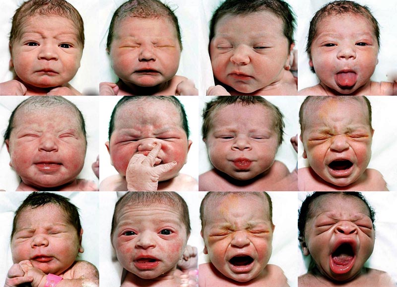 BIGPIC2225 Портреты новорожденных младенцев