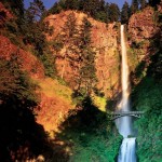 waterfall04 800x7091 150x150 Живописная лесоферма в Орегоне
