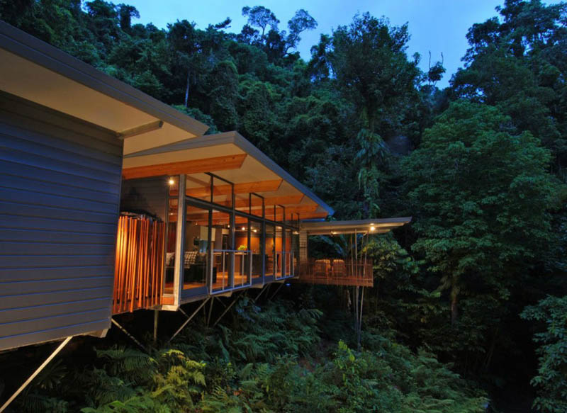 TreeHouse 1 Дом на дереве в тропическом лесу Австралии