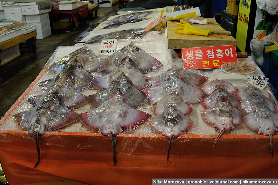 1011 Знаменитый рыбный рынок в Сеуле 