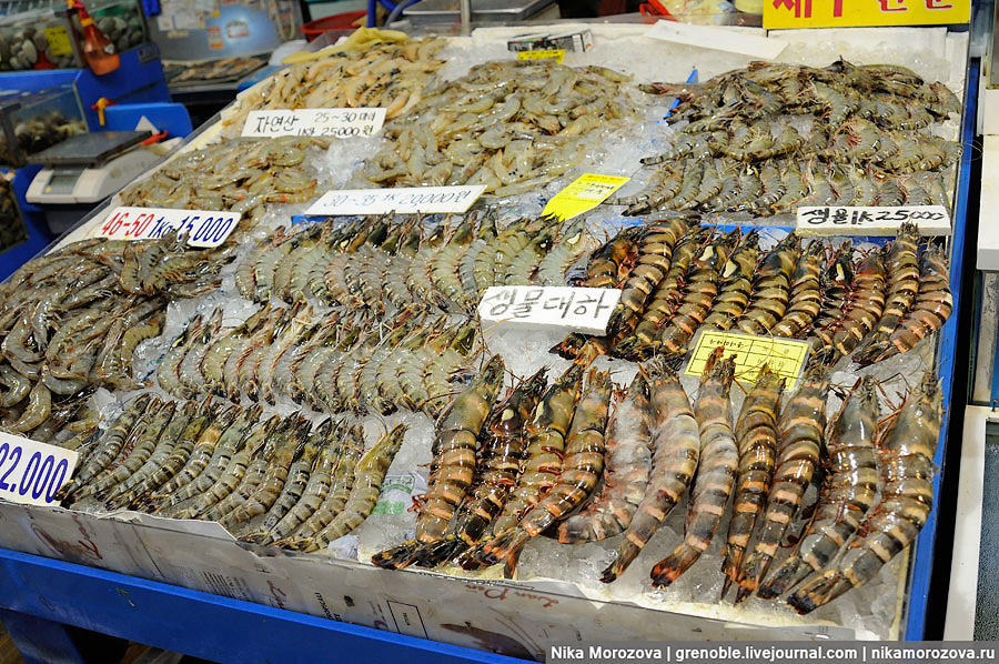 106 Знаменитый рыбный рынок в Сеуле 