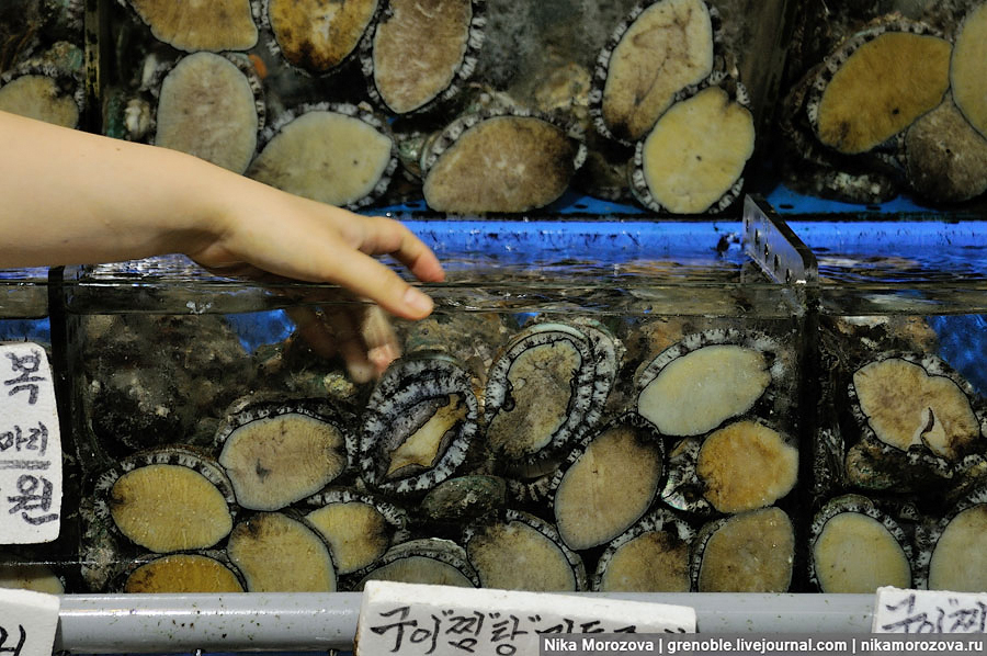 108 Знаменитый рыбный рынок в Сеуле 