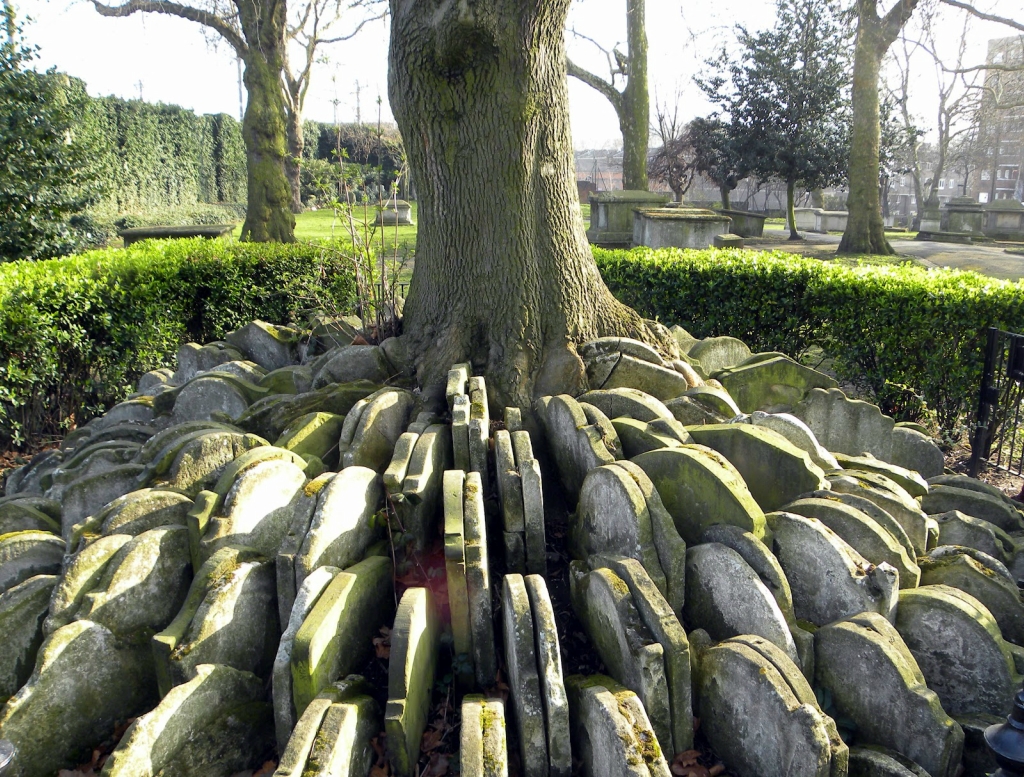 1107 Дерево сотни надгробий