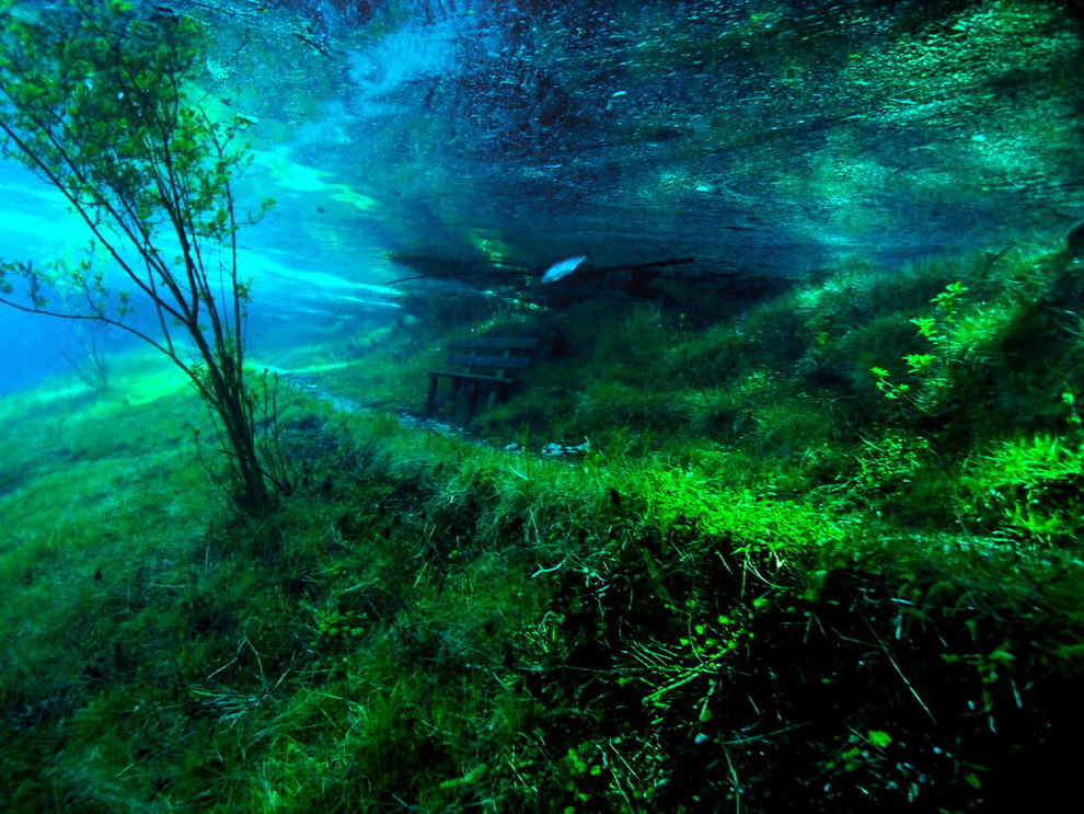 1139 Подводный парк «Зеленое озеро»