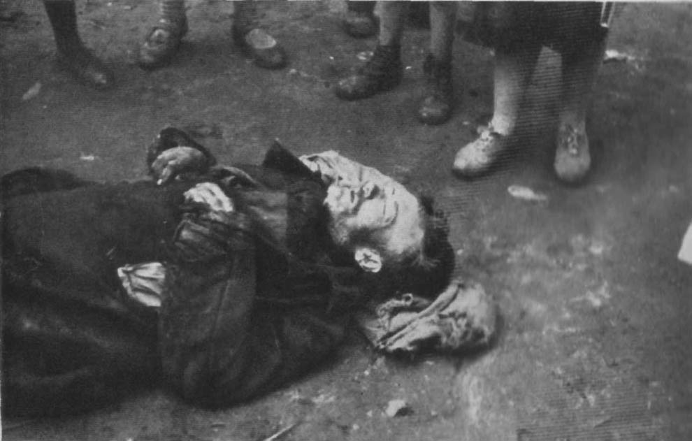 1296 1933 год: Харьков в дни Великого Голода