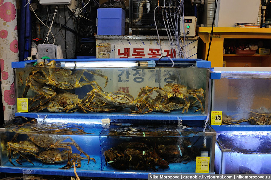 134 Знаменитый рыбный рынок в Сеуле 
