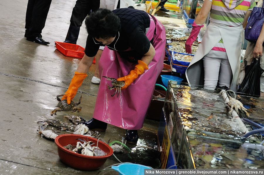 144 Знаменитый рыбный рынок в Сеуле 