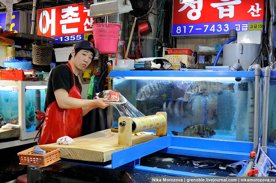 182 Знаменитый рыбный рынок в Сеуле 
