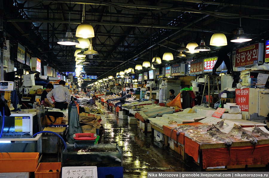 251 Знаменитый рыбный рынок в Сеуле 