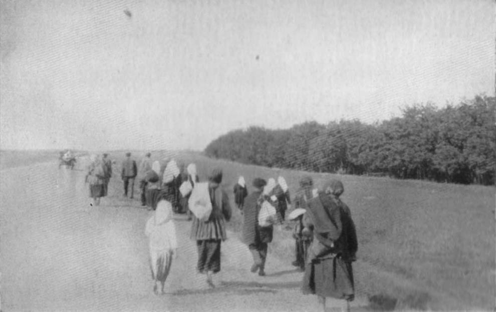 4135 1933 год: Харьков в дни Великого Голода