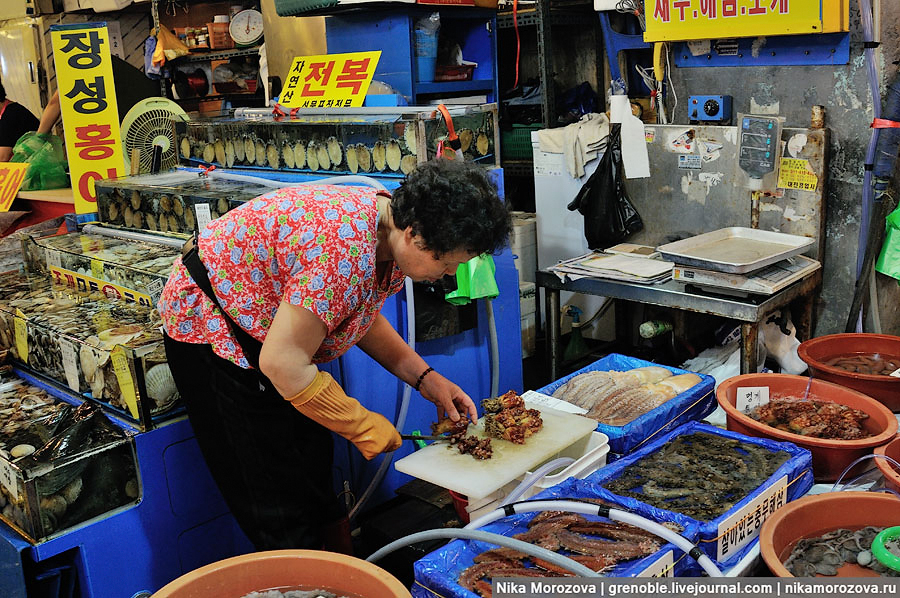 421 Знаменитый рыбный рынок в Сеуле 