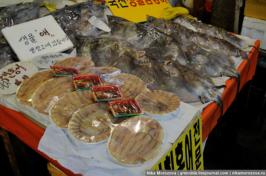 48 Знаменитый рыбный рынок в Сеуле 