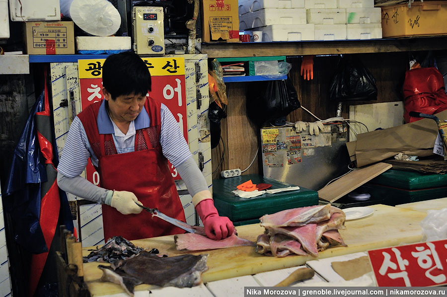 531 Знаменитый рыбный рынок в Сеуле 