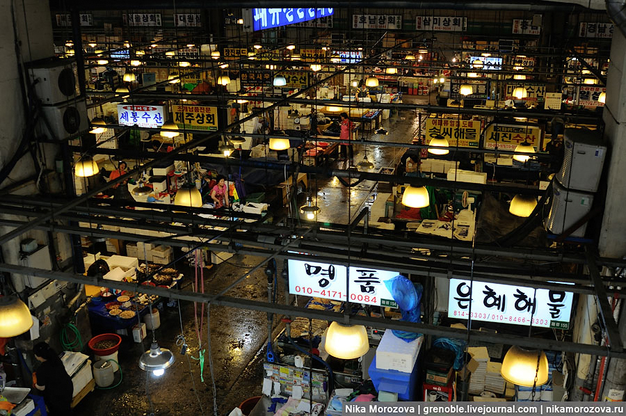 55 Знаменитый рыбный рынок в Сеуле 