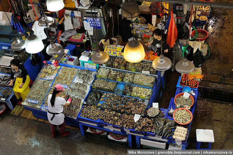 65 Знаменитый рыбный рынок в Сеуле 