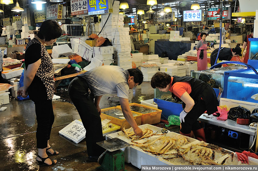 70 Знаменитый рыбный рынок в Сеуле 