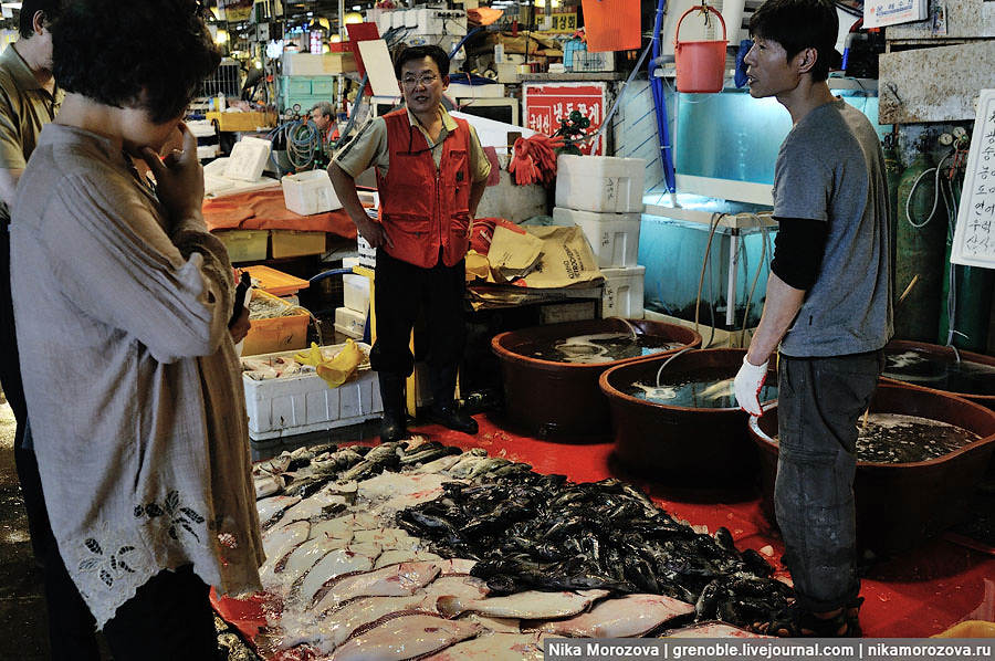 731 Знаменитый рыбный рынок в Сеуле 