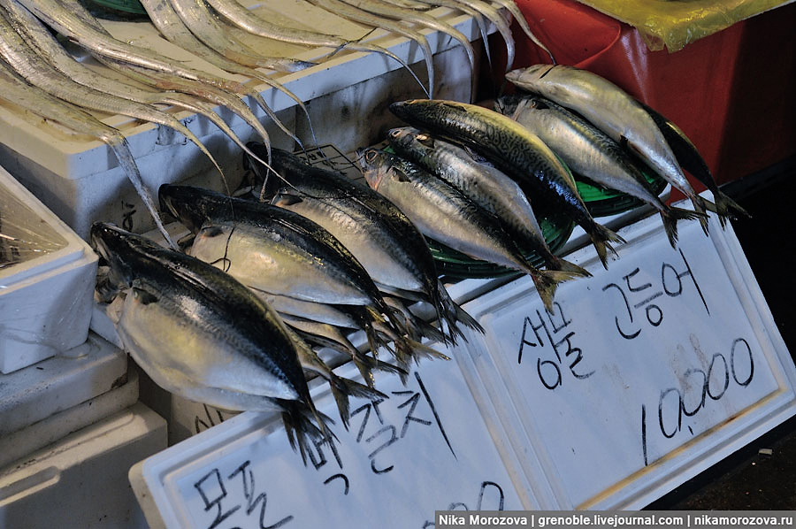 841 Знаменитый рыбный рынок в Сеуле 