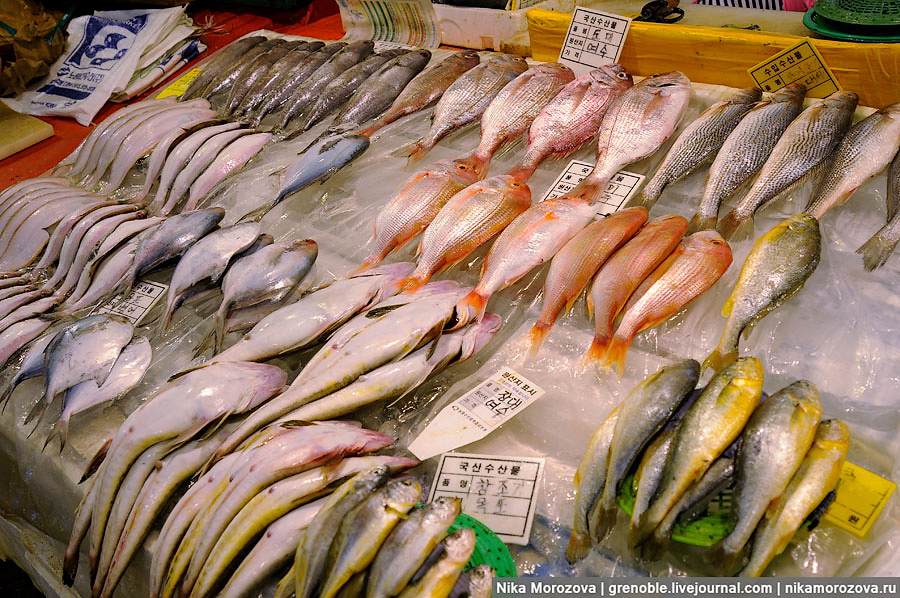 97 Знаменитый рыбный рынок в Сеуле 